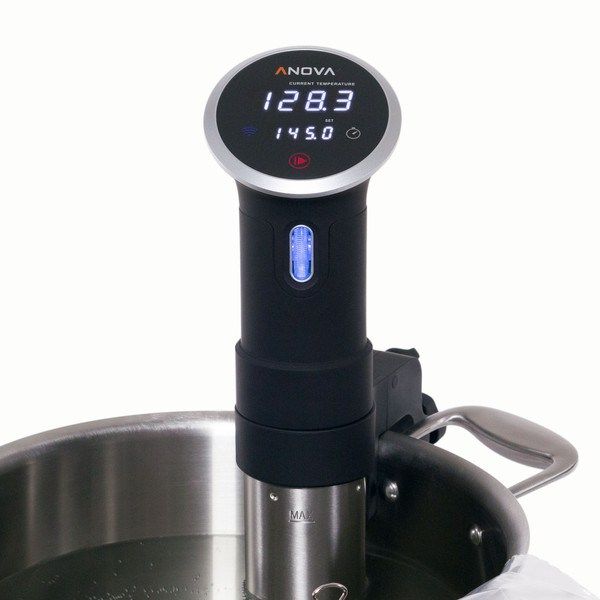 precision sous vide cooker Giuly Cooks